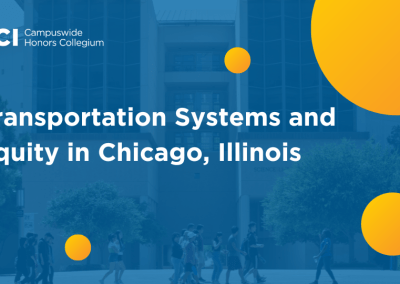 Transportation Systems and Equity in Chicago, Illinois